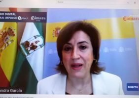 Foro digital Delegada Gobierno Cámara de Comercio